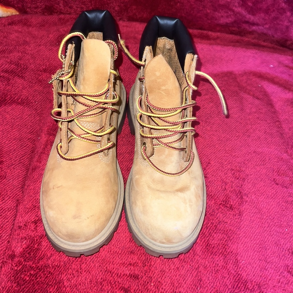 Timberlands - Picture 3 of 4
